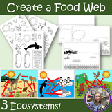 Create a Food Web Activity