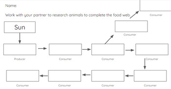 Preview of Create a Food Web - EDITABLE