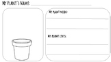 Create a Plant - Fun Plant Life Cycle unit extension