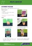 Create a naked egg experiment