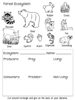 Create an Ecosystem Diorama {Forest, Ocean, Rainforest, and Arctic}