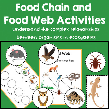 Preview of Food Webs and Food Chains Worksheets | Cut and Paste | with Answer Keys