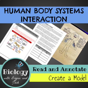 Preview of Creating Body System Interactions Model