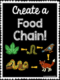 Creating a Food Chain