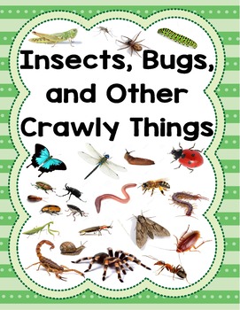 Preview of Creative Curriculum Insect Study Bundle