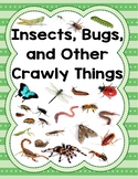 Creative Curriculum Insect Study Bundle