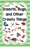 Creative Curriculum Insect Study Poster Set
