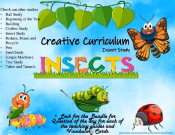 Preview of Creative Curriculum Insect Study Question of the Day