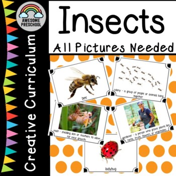 Preview of Creative Curriculum Insects Study-All pictures needed