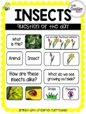 Creative Curriculum Insects Study Question of the Day