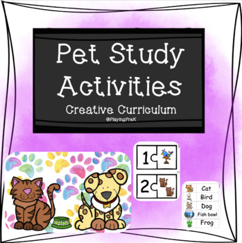 Preview of Pet Study Activities