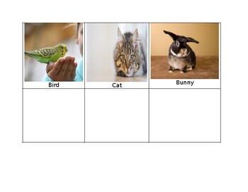 pet food homework