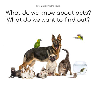 Preview of Creative Curriculum Pets Study Visuals