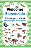 Creative Curriculum Study Entomologist Poster