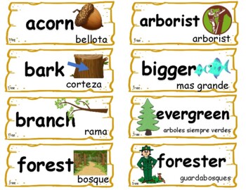 Preview of Creative Curriculum Tree Study Word Wall Vocabulary Cards