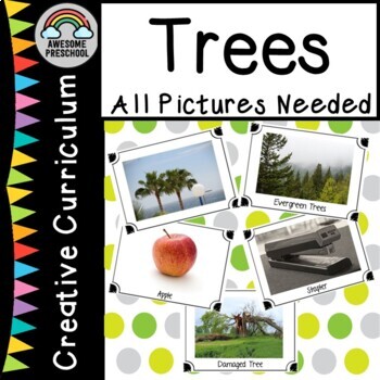 Preview of Creative Curriculum Trees Study-All pictures needed