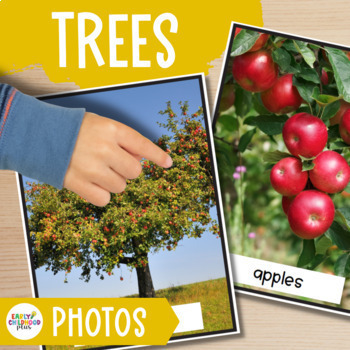 Preview of Trees Study Real Photos for The Creative Curriculum