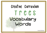 Creative Curriculum - Trees Study: Vocabulary Words
