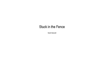 Preview of Creative Short Story Example: Stuck in the Fence