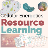 Creative Webs: Cellular Energetics Resource Based Assignment