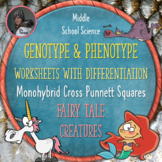 Genotype and Phenotype Monohybrid Cross Punnett Square Wor