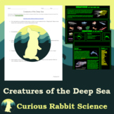 Creatures of the Deep Sea - Marine Biology