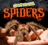 Creepy But Cool Spiders - Read-along ebook