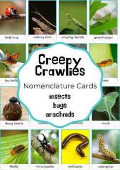 Creepy flashcards Flashcards