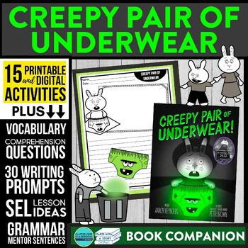 Preview of CREEPY PAIR OF UNDERWEAR activities READING COMPREHENSION - Book Companion