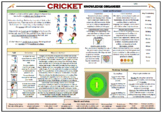 Cricket - Lower KS2 Knowledge Organiser!