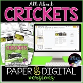 Crickets Differentiated Reading Comprehension Passages, Di