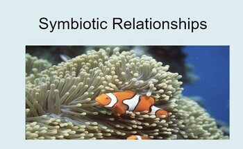 Preview of Criterion A - Symbiotic Relationships