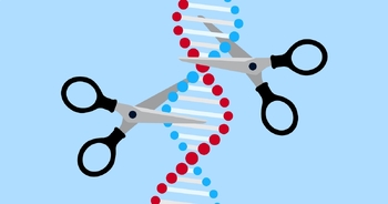 Preview of Criterion D - Do Scientists have a right to manipulate genes?