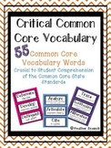 Critical Common Core Vocabulary