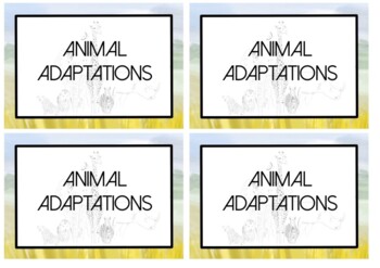 Critical Thinking Cards - Animal Adaptation Themed by Renee Sanson