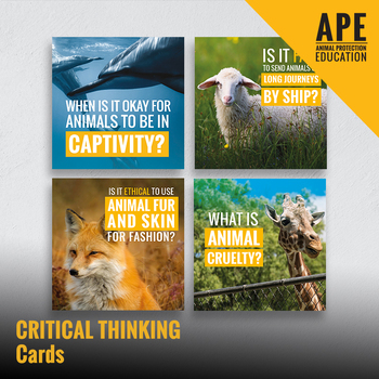 Preview of Critical Thinking Cards | Years 7 - 10
