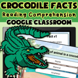 Crocodile Facts Reading Comprehension - Google Classroom -