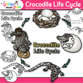 Crocodile Life Cycle Clipart: Animal Clip Art Black & Whit