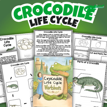 Preview of Crocodile Life Cycle Worksheet for Kids