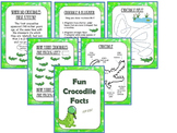 Crocodile and Alligator Preschool/Kindergarten Theme