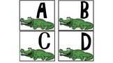 Crocodile snap ABC recognition game