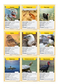 Animales en los cromos troquelados – animalesdementira