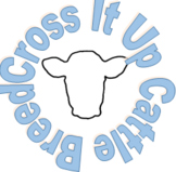 Cross It Up: Cattle Breed Project