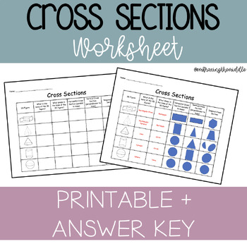 Preview of Cross Sections Graphic Organizer Math Worksheet - 7th Grade Geometry