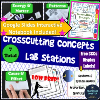 Preview of Crosscutting Concepts NGSS Digital Interactive Notebook and Stations