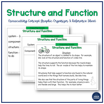 Preview of Crosscutting Concepts: Structure and Function Graphic Organizers