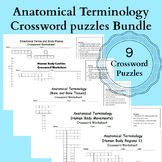 Crossword Puzzle Bundle: Human Anatomy Terminology.