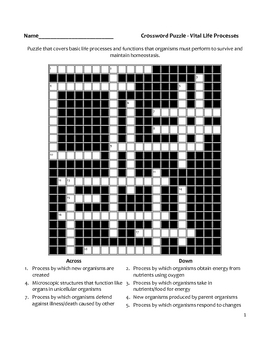 Biology Crossword Puzzle - Life Processes by Educator Super Store