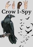 Crow I-Spy Activity