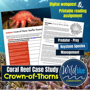 Preview of Crown-of-Thorns Starfish Research | Marine Science Worksheet | Echinoderms
